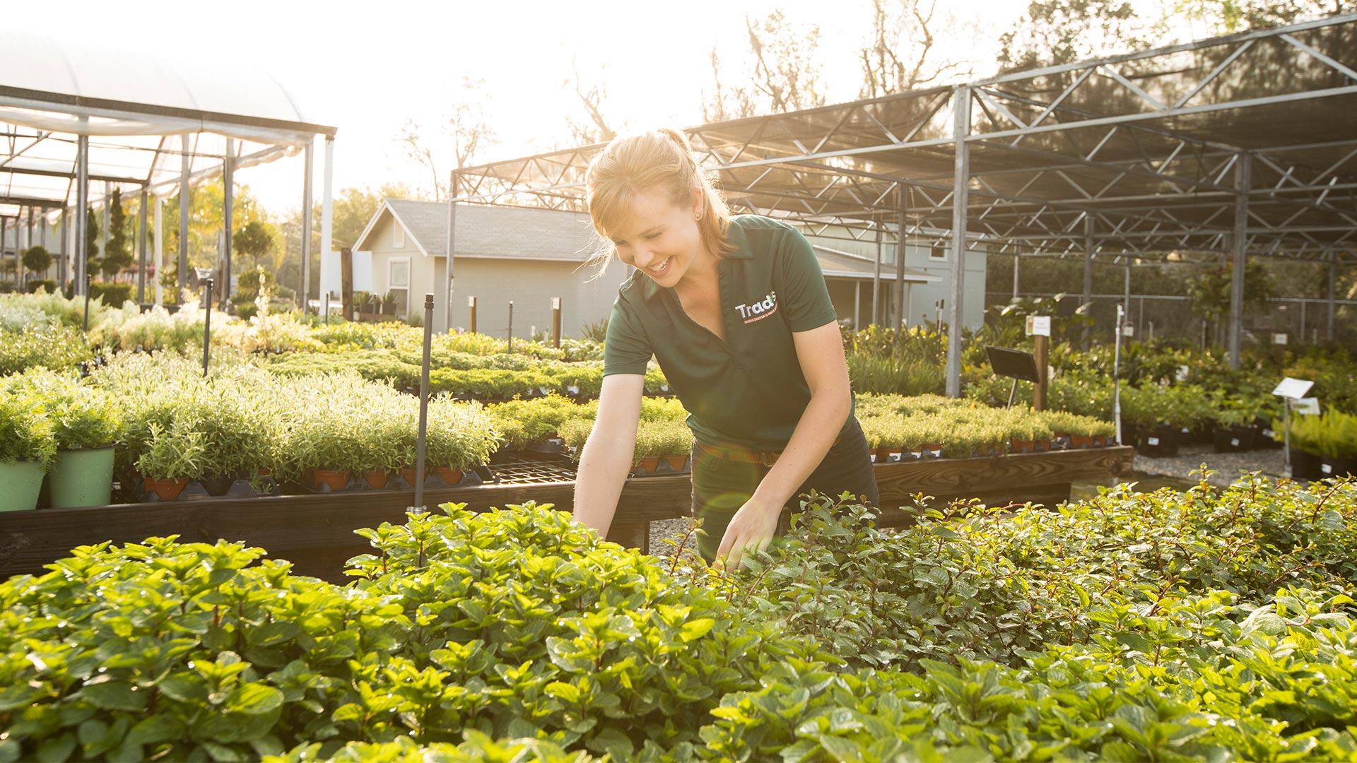 Trad’s Garden Center & Pest Control » Wingard Marketing and