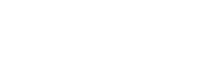 nielsen Logo